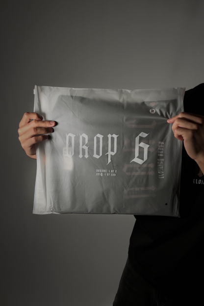 DROP 6 - Premium 300 GSM Cotton, Loose Fit